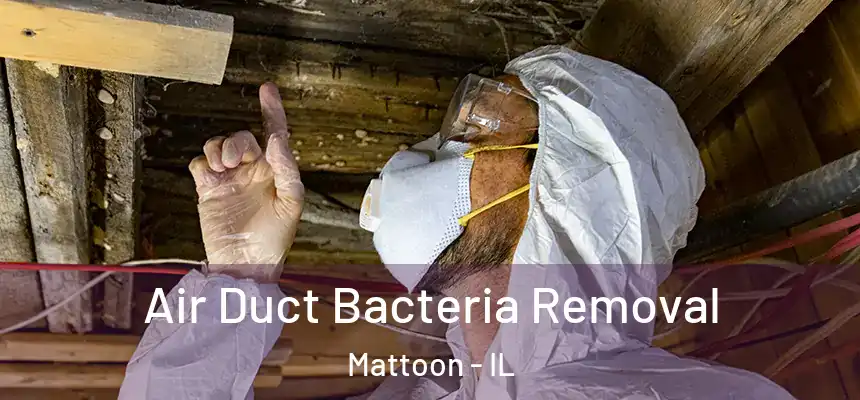  Air Duct Bacteria Removal Mattoon - IL