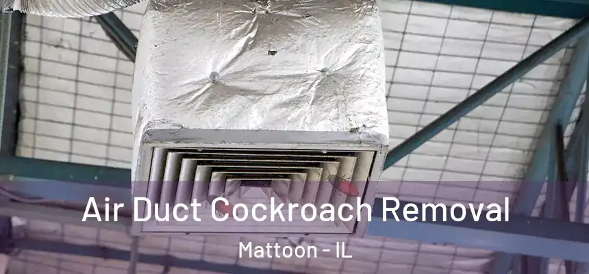  Air Duct Cockroach Removal Mattoon - IL