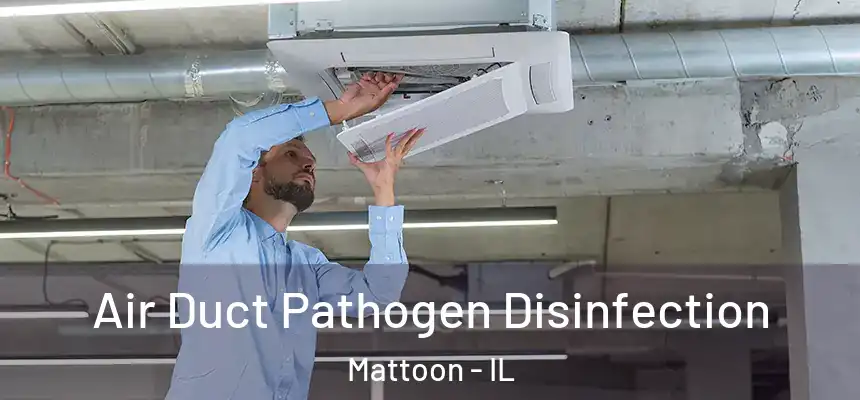  Air Duct Pathogen Disinfection Mattoon - IL