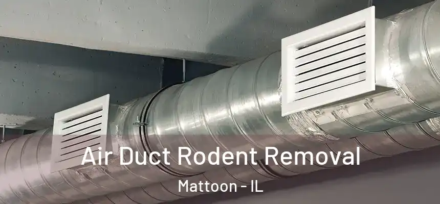  Air Duct Rodent Removal Mattoon - IL