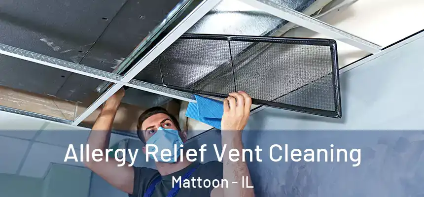  Allergy Relief Vent Cleaning Mattoon - IL