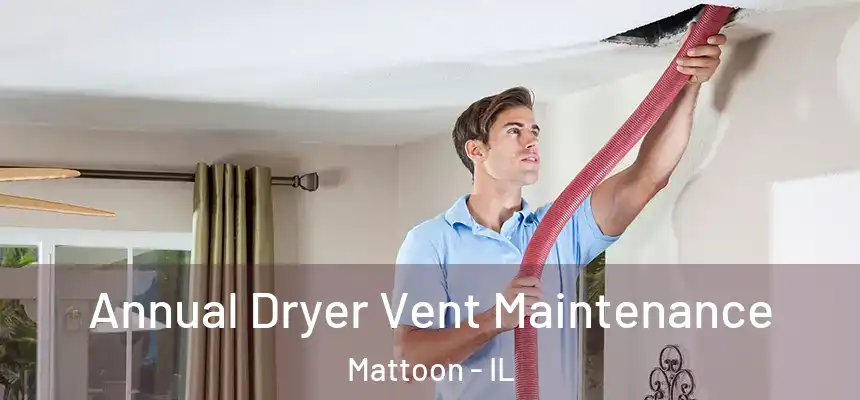  Annual Dryer Vent Maintenance Mattoon - IL