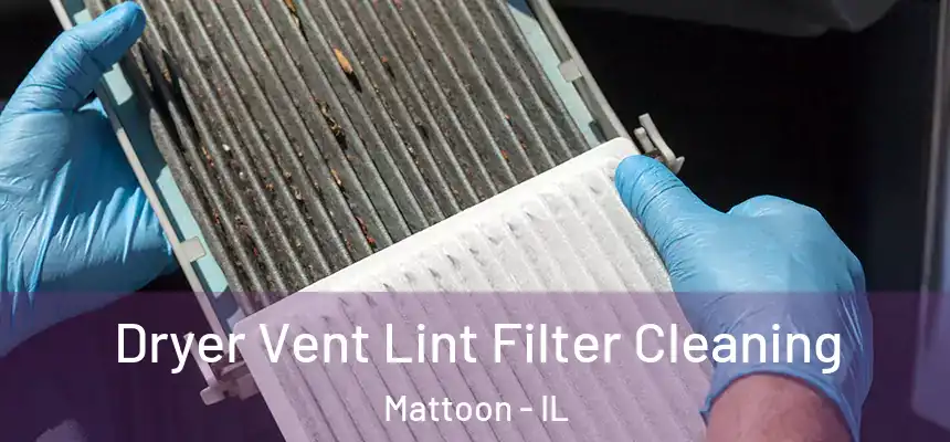  Dryer Vent Lint Filter Cleaning Mattoon - IL