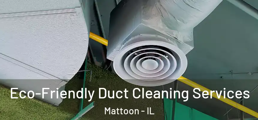  Eco-Friendly Duct Cleaning Services Mattoon - IL