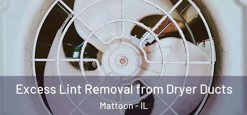  Excess Lint Removal from Dryer Ducts Mattoon - IL