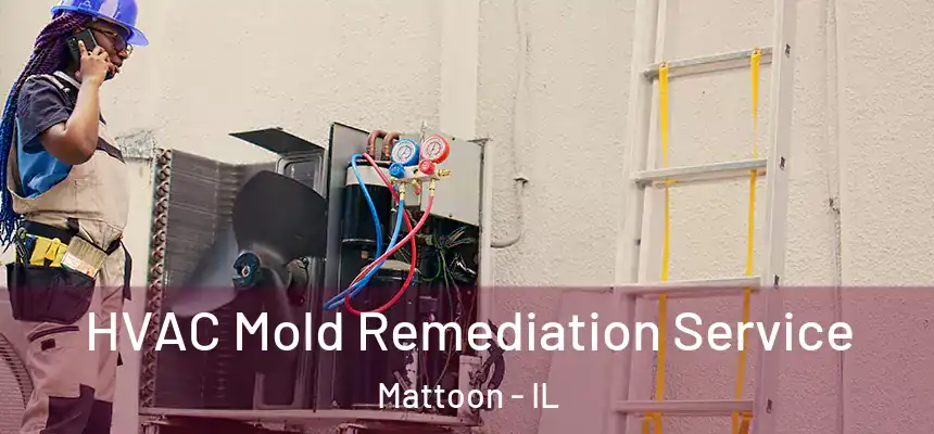  HVAC Mold Remediation Service Mattoon - IL