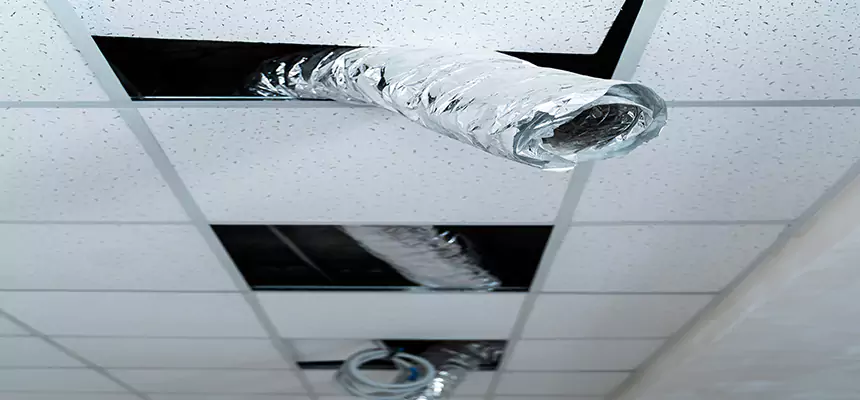 Affordable HVAC Sanitizing After Pest Removal in Mattoon