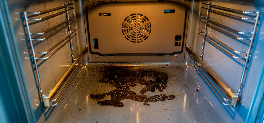 Our Dryer Vent Mold Cleaning Services in Mattoon, IL