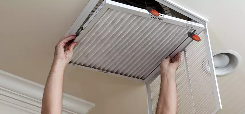 Our Insect Removal from Air Ducts Services in Mattoon, IL