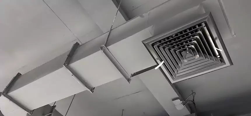 Our Pest Removal From Ducts Services in Mattoon, IL