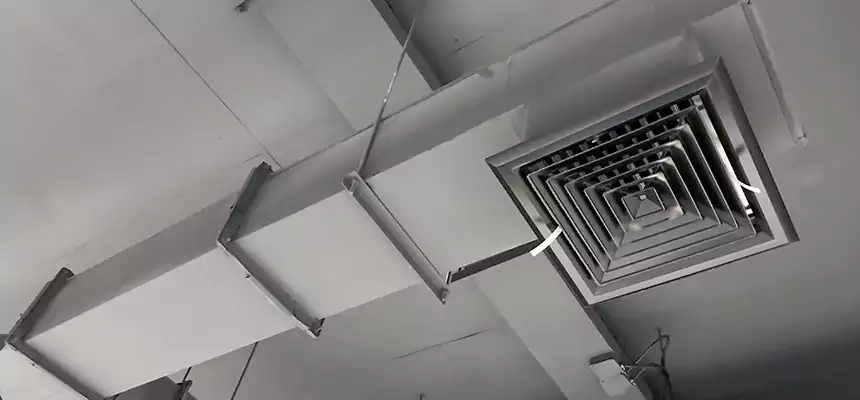 Our Rodent Droppings In Vents Services in Mattoon, IL