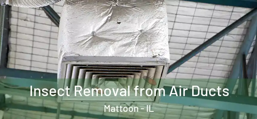  Insect Removal from Air Ducts Mattoon - IL