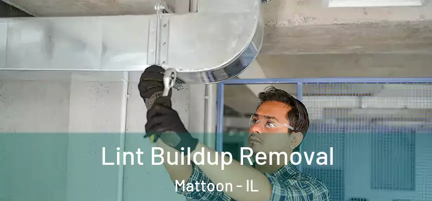  Lint Buildup Removal Mattoon - IL