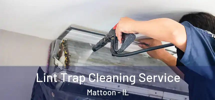  Lint Trap Cleaning Service Mattoon - IL