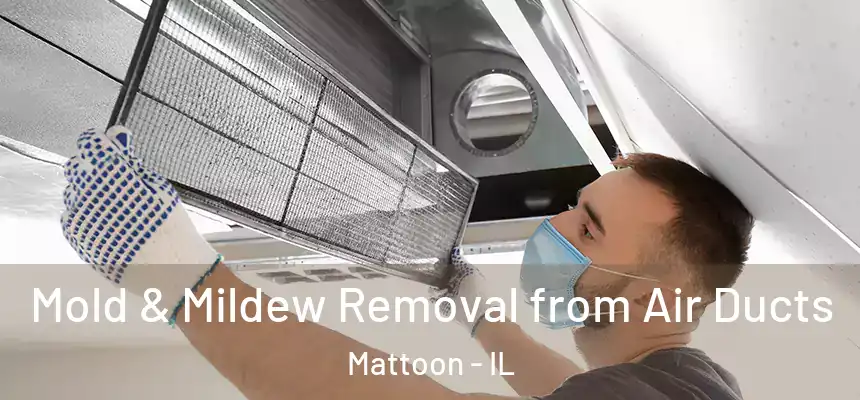  Mold & Mildew Removal from Air Ducts Mattoon - IL
