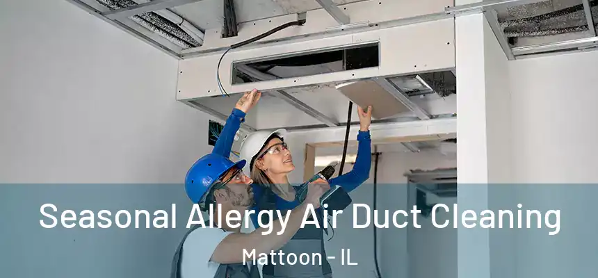  Seasonal Allergy Air Duct Cleaning Mattoon - IL