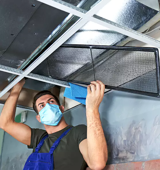 Professional Air Duct Pollen Cleaning in Mattoon, IL