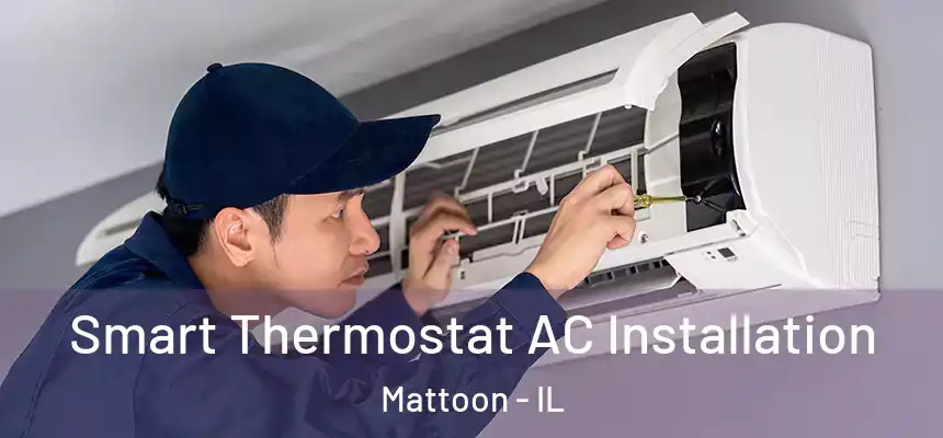  Smart Thermostat AC Installation Mattoon - IL