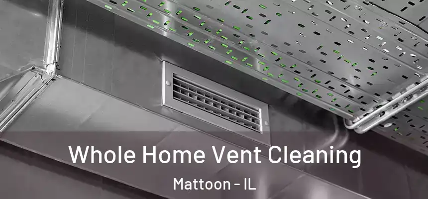  Whole Home Vent Cleaning Mattoon - IL